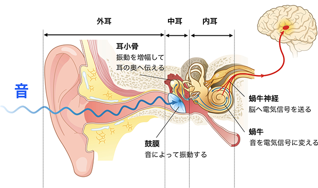 妊娠しやすい身体づくりをお手伝いする経験・知識・技術があるからです。